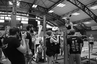 开云体育APP下载-“2025世界游泳锦标赛：水上芭蕾精彩纷呈，艺术之美与竞技并行”